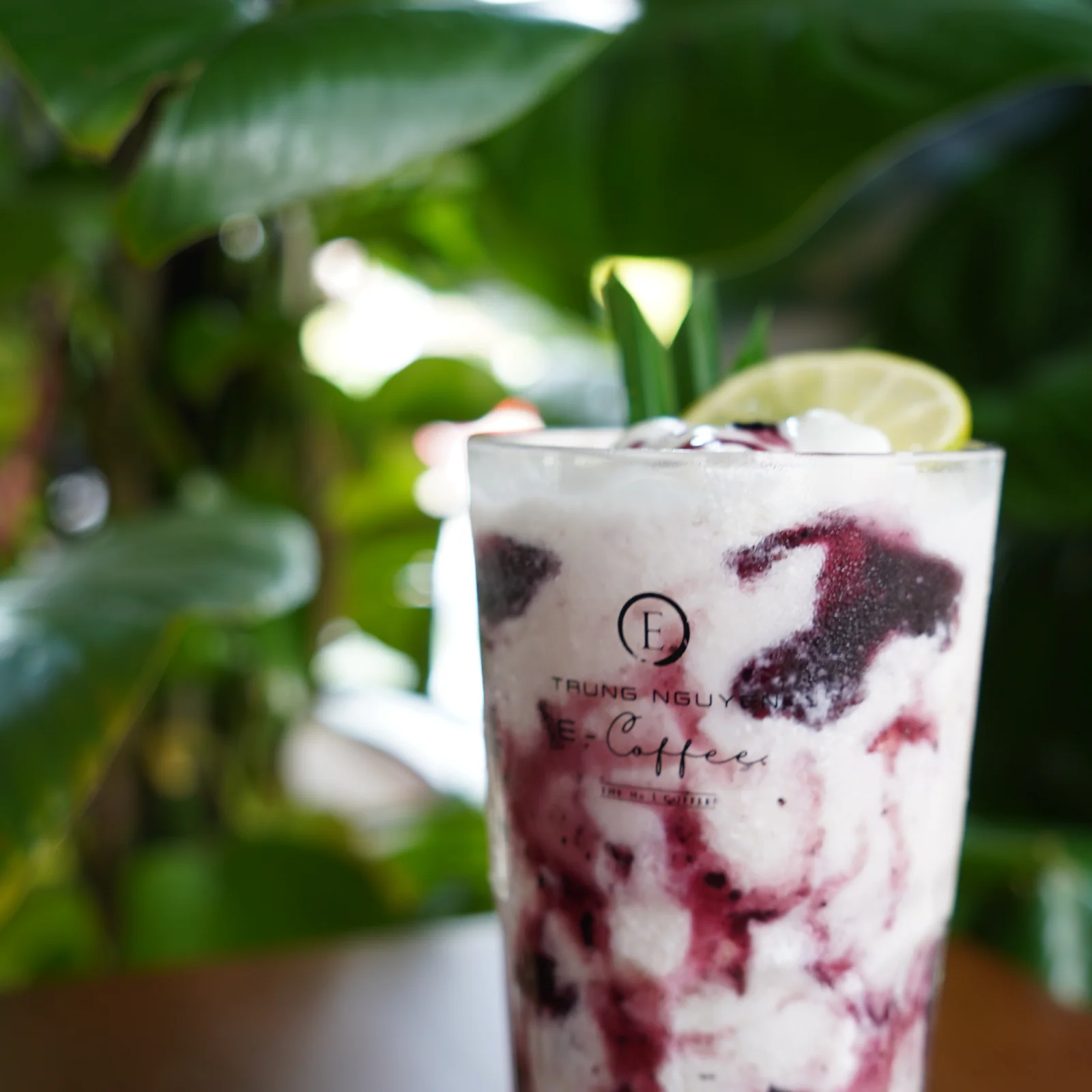 Cacao Latte Thái